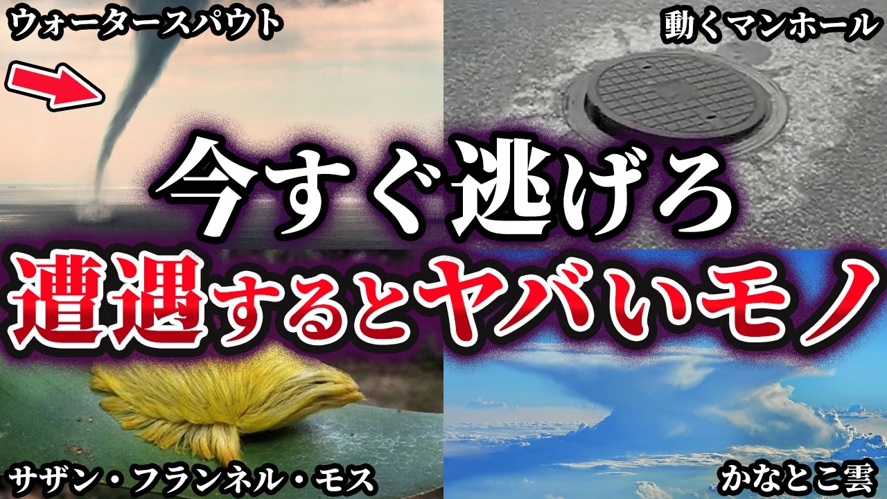 【ゆっくり解説】これを見たら今すぐ逃げろ！遭遇するとヤバいモノ6選