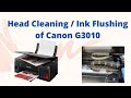 How to clean Printer's head of Canon G2010,  G3010 | Flushing ink | Printer empty pipes solution