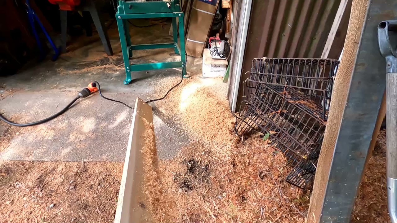 Planing a Cedar Board in a Grizzly G0815 planer YouTube