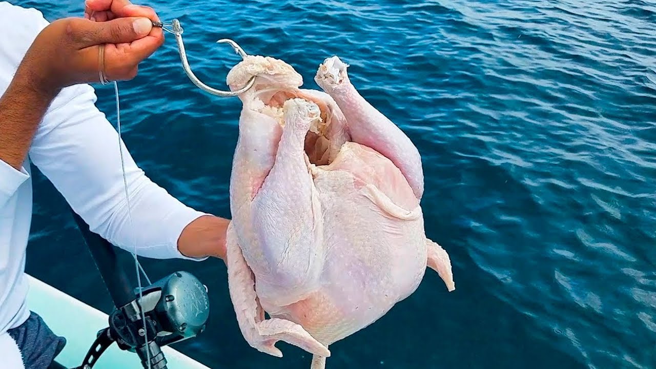 PESCANDO ALGO INACREDITÁVEL COM UM FRANGO INTEIRO DE ISCA