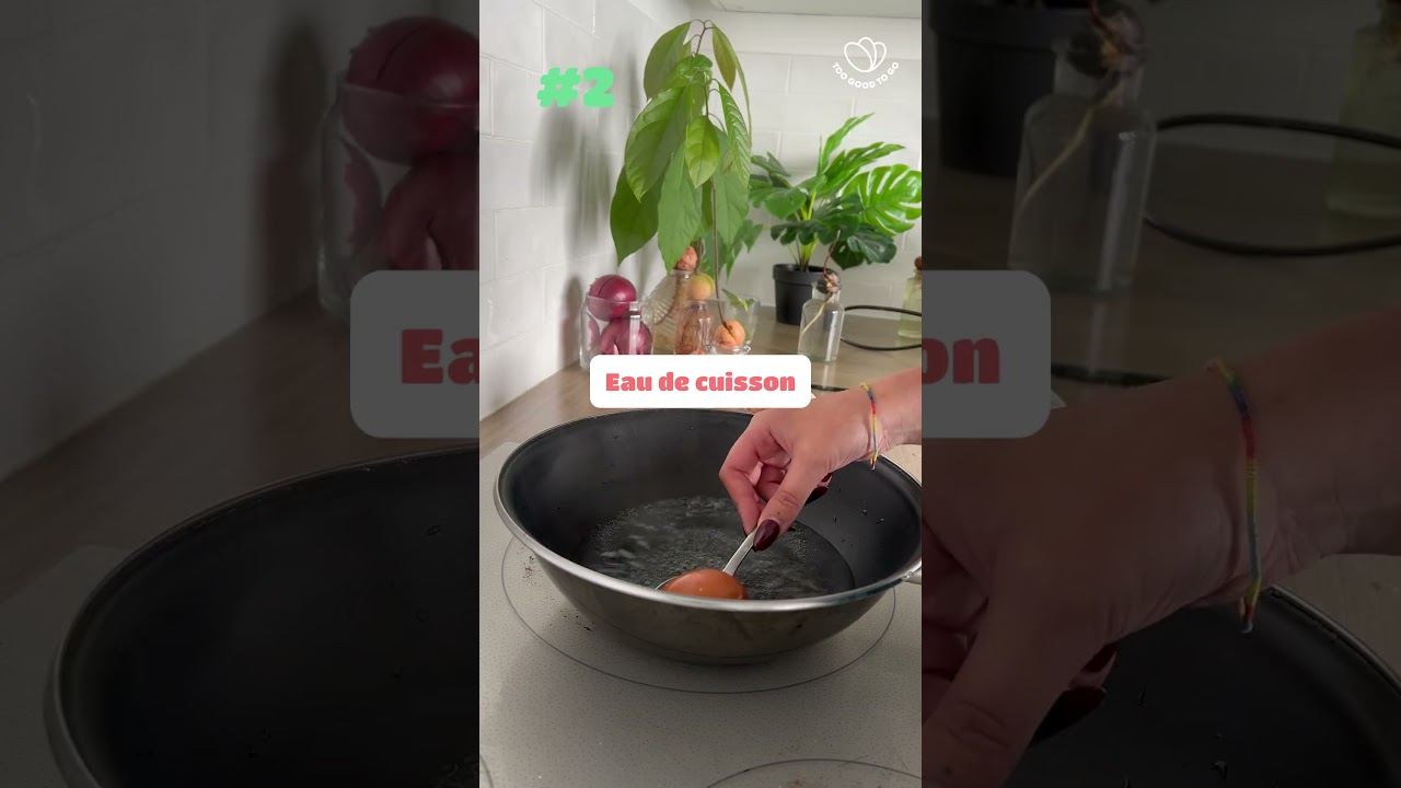 3 astuces anti gaspi pour avoir les plus belles plantes ! 🌱