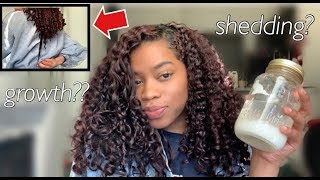 RICE WATER UPDATE | growth, shedding.. | Sidne Power