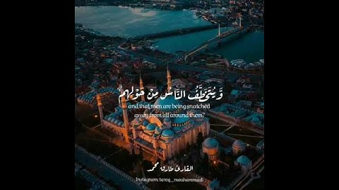 قرآن كريم بصوت القاريء :  طارق محمد  || أجمل حالات واتساب دينية || مقاطع قصيرة تلاوة عطرة