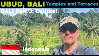 UBUD, BALI: The temples, the rice terraces and my amazing hotel!