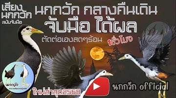 เสียงนกกวักฉบับจับมือ ตัดต่อใหม่ล่าสุดได้ผล (เน้นกลางคืน  ย้ำๆจับมือ)