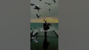 فَاصْبِرْ صَبْرًا جَمِيلًا 💞⚘حالات واتس اب قرآن كريم بصوت جميل جدا 💞