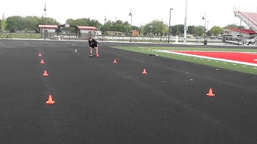 Zig Zag Run   Sprint