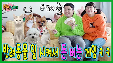 모동숲에서 반려동물 키우기 모동숲에서 반려동물 키우기