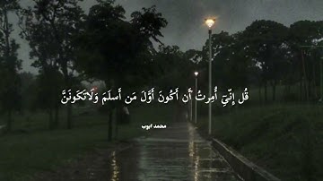 سورة الأنعام 🌹محمد أيوب 🌹#قرآن #قران_كريم #اكسبلور #راحة_نفسية #ترند