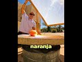 Tienes la nariz de tu papá o mamá #Genetica #Curiosidades #Ciencia #Viral #Parati