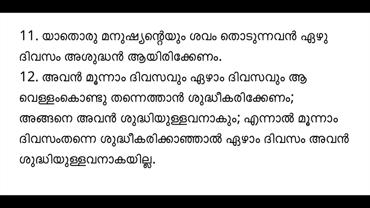 സംഖ്യാപുസ്തകം 19