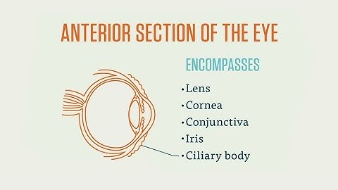 CPC EXAM: EYE AND OCULAR ADNEXA