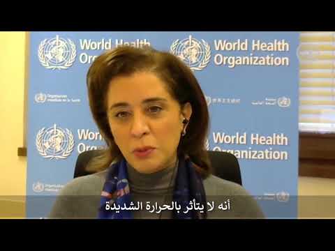 د حنان بلخي ننتظر المزيد من الدراسات لتخبرنا كيف يتصرف فيروس كورونا في فصل الشتاء والصيف
