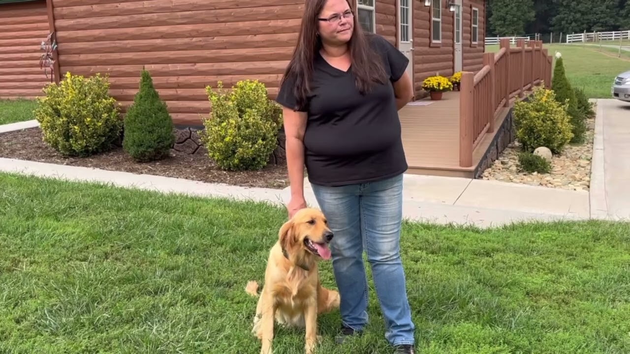 Gentle Female Golden Retriever!! - YouTube