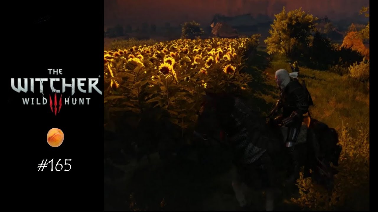 Witcher 3 Von Ophirs Fernen Gestaden The Witcher 3 Wild Hunt #165[FACECAM]- Von Orphis fernen Gestaden - YouTube