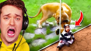 World's Most SHOCKING Zoo Moments!