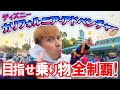 【カリフォルニア④】きむすば、カリフォルニアディズニー・アドベンチャーパークで大興奮!!!!