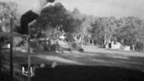 Backflip Off Monkey Bars.