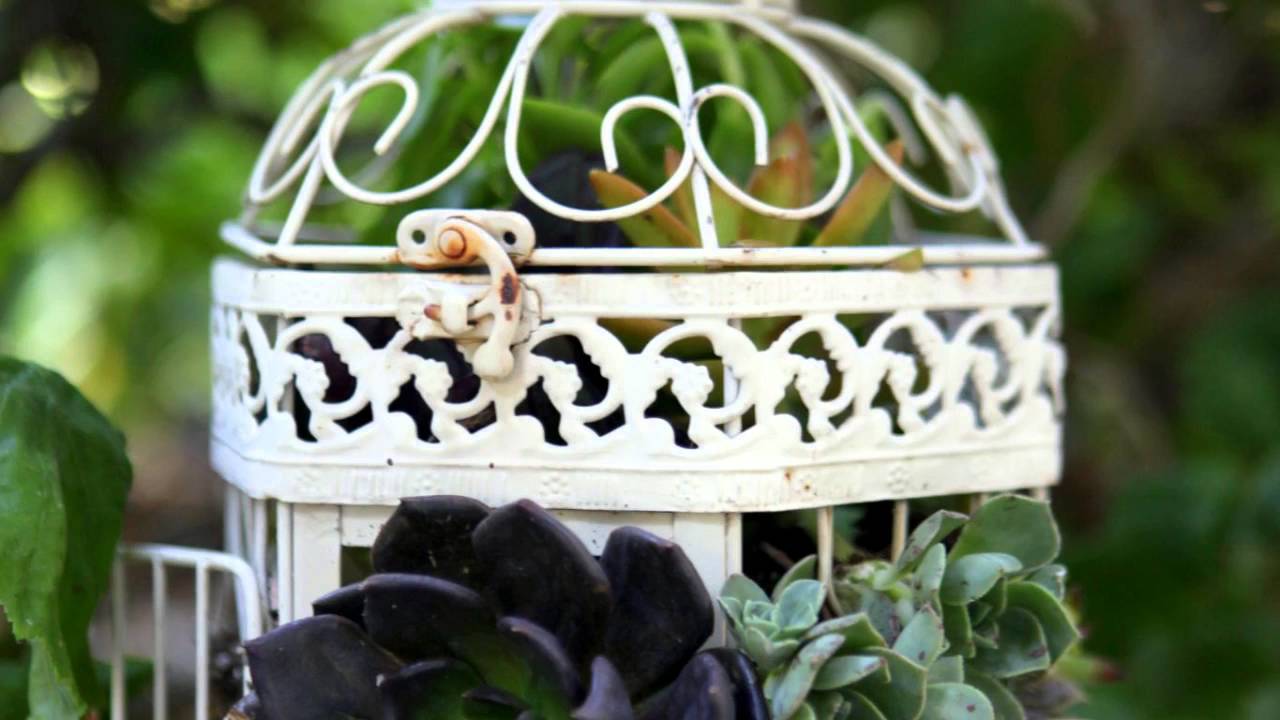 Birdcage Succulent Planter YouTube