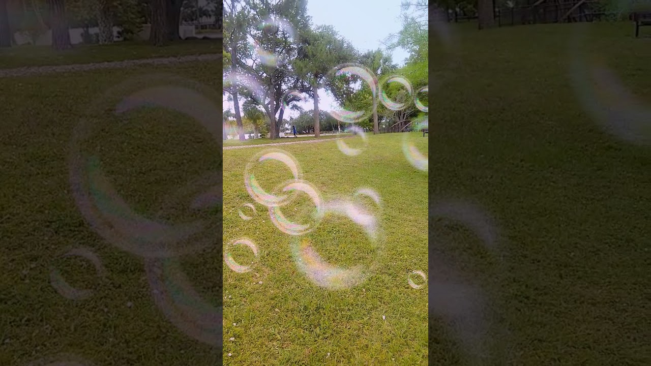 Video de vasquez vasquez parke sito jeje tu saves