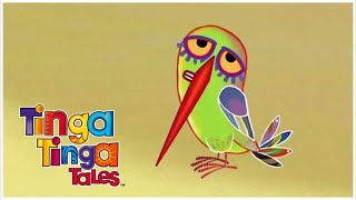 Why Hummingbird Hums  Tinga Tinga Tales    Episode  Cartoons For Kids