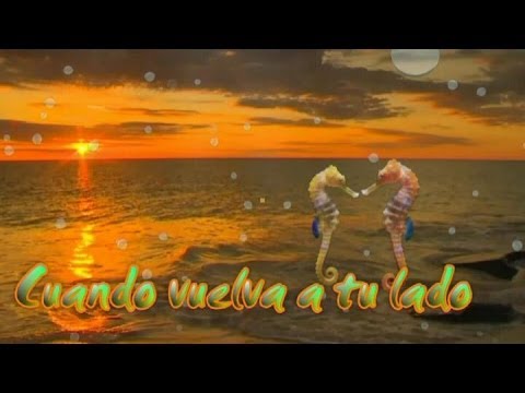 luis miguel cuando