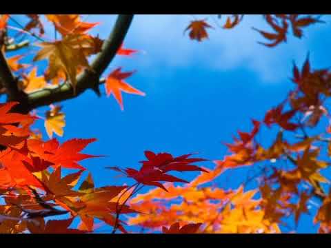 【ピアノオケ】秋がくれた切符offvocal　【フルコーラス】