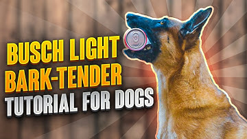 How to Teach Your Dog to Fetch a Beer: The Busch Light BARK-Tender Tutorial
