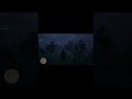 Red Dead Redemption 2 Thunder Weather Graphics - On Ryzen 7 5800x With RTX 2080ti