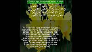 Коран Сура Ан-Нахль | 16:92 | Чтение Корана с русским переводом | #рамадан2024 #quran