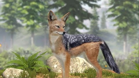 Wolf Game The Wild Kingdom GAMEPLAY Android Play NowTV