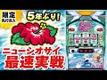 シオサイシリーズ最新作! 「ニューシオサイ」 │ 最速!パイオニア新台レポート【パチスロ】【新台】【ハナハナ】