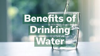 Benefits of Drinking Water