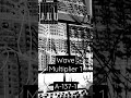 Doepfer A-137-1 Wave Multiplier 1 bleeps #shorts