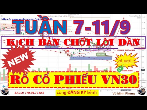 Phân tích cổ phiếu rổ VN30 | TT chứng khoán tuần 7-11/9 VNI 890~905 | ĐẦU TƯ CHỨNG KHOÁN