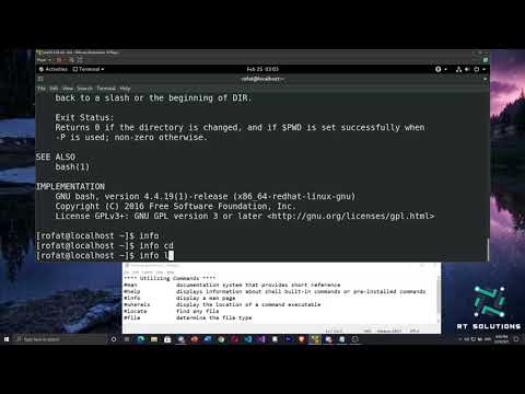Utilizing Commands in