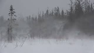 The tail end of an Alberta clipper on the beaver pond....