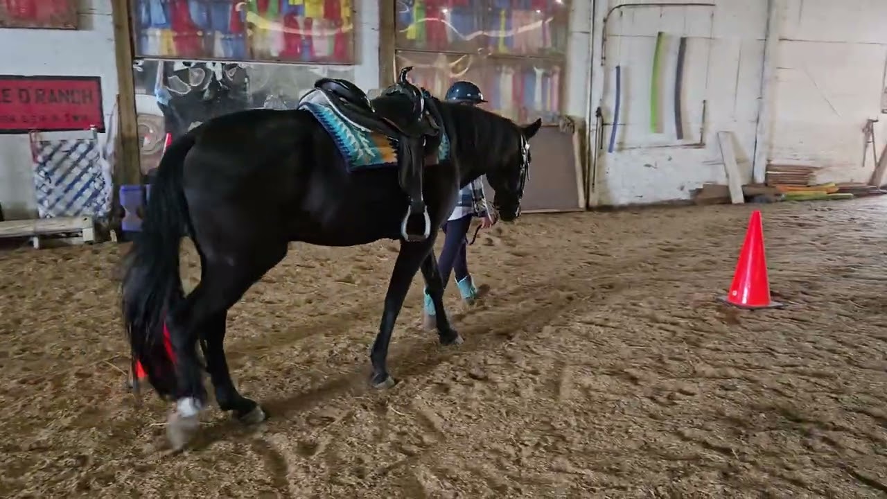 Hartwig sept25 ms inhand trail obstacle double d windstorm dld Madelyn Rainey 