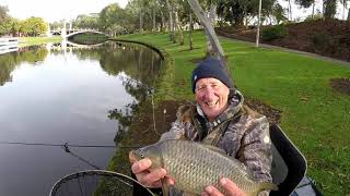 Fishing the River Torrens at Jolly's Boathouse, July 2023 #RiverTorrens #Carp