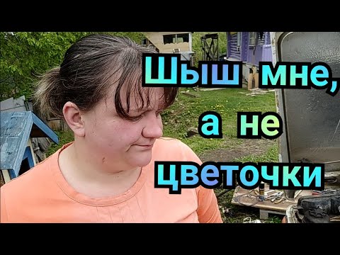 Плети веночки, крути гайки! Или кормление кур пенопластом.