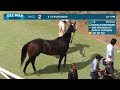 Marvelousmissmabel wins race 2 at Del Mar 9/7/26