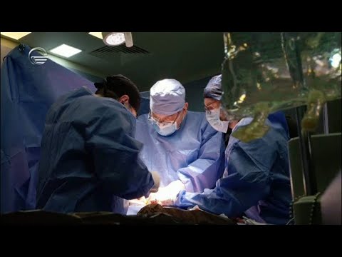 ანატომია - 7 ნოემბერი, 2020 წელი