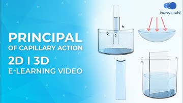 Principal of Capillary Action | 2D | 3D | E-learning Video | Elite Physics | Incredimate Studio
