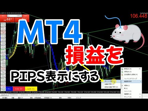 MT4『金額表示からpips表示へ』損益切り替え「ポイント表示」FX