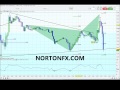 Mini Forex