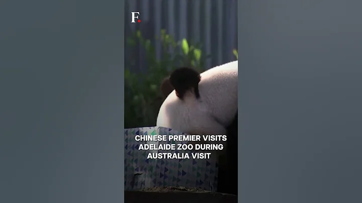 Chinese Premier Promises New Pandas for Australia | Subscribe to Firstpost - DayDayNews