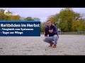 Reitboden im herbst  reitplatz systeme im vergleich  tipps zur pflege