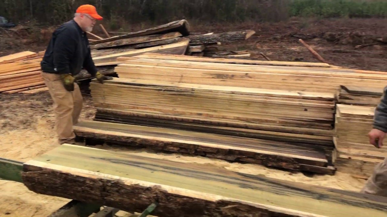 Cutting Yellow Poplar Logs into Lumber with a Portable Sawmill YouTube