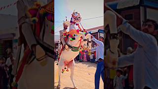DANCE 😍🐎#subscribe #viral #horse #trending #song #rajasthan #india #viral #short #jaislamer