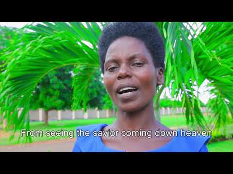 Video: Mwerezi Mfupi-coniferous